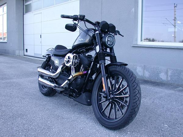 Harley Davidson Iron XL 883N 